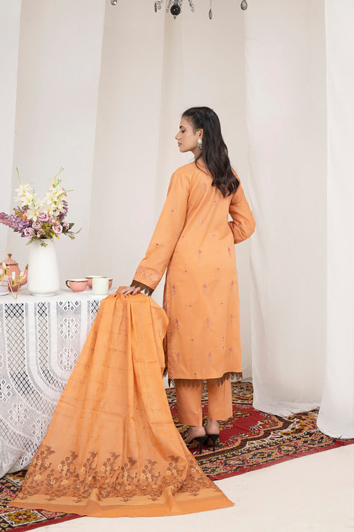 RANGRAIZA (UNSTICHED COLLECTION)